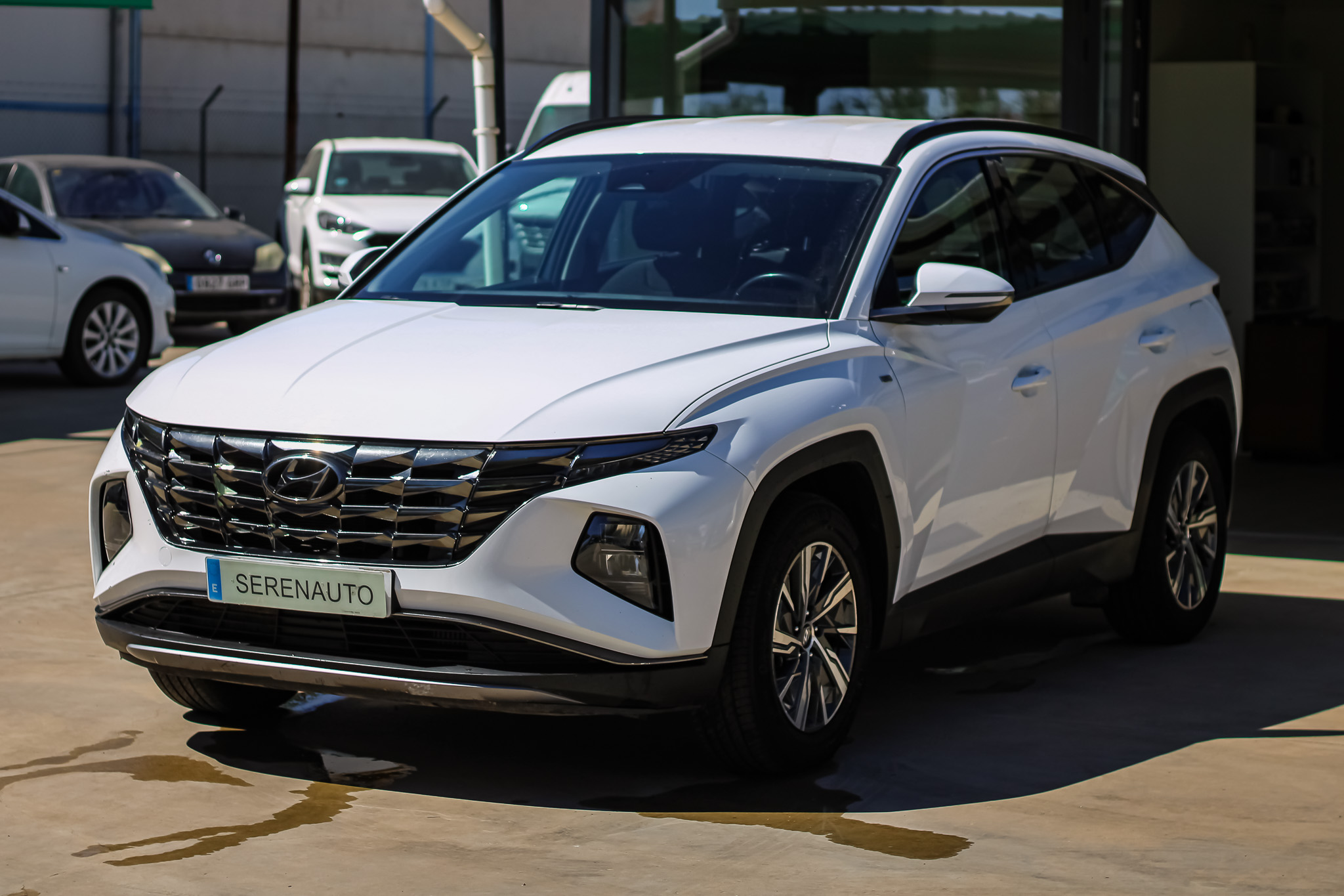 
								HYUNDAI TUCSON 1.6 CRDI 100kW 136CV 48V Maxx full									