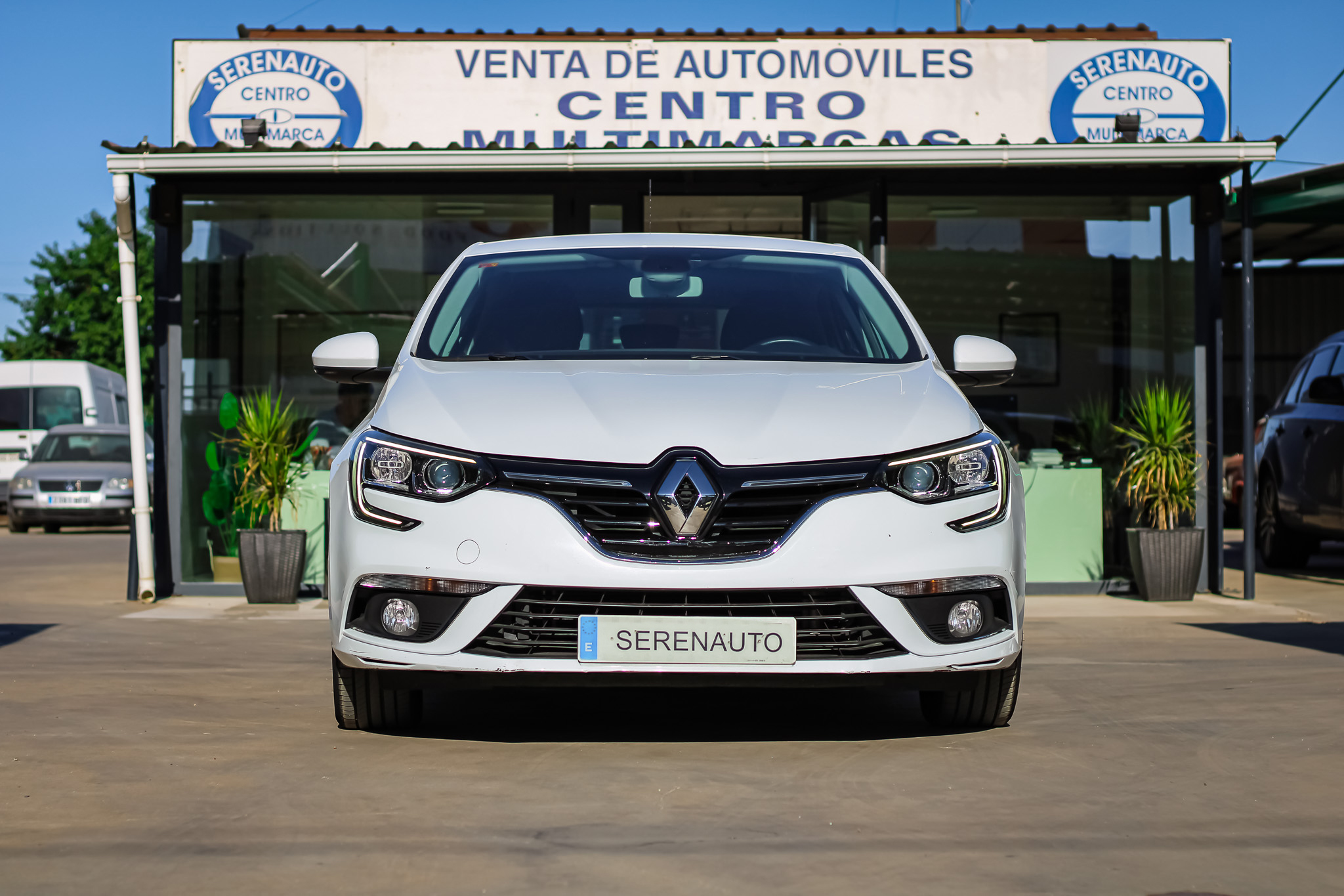 
								RENAULT Mégane Business Blue dCi 85 kW 115CV full									