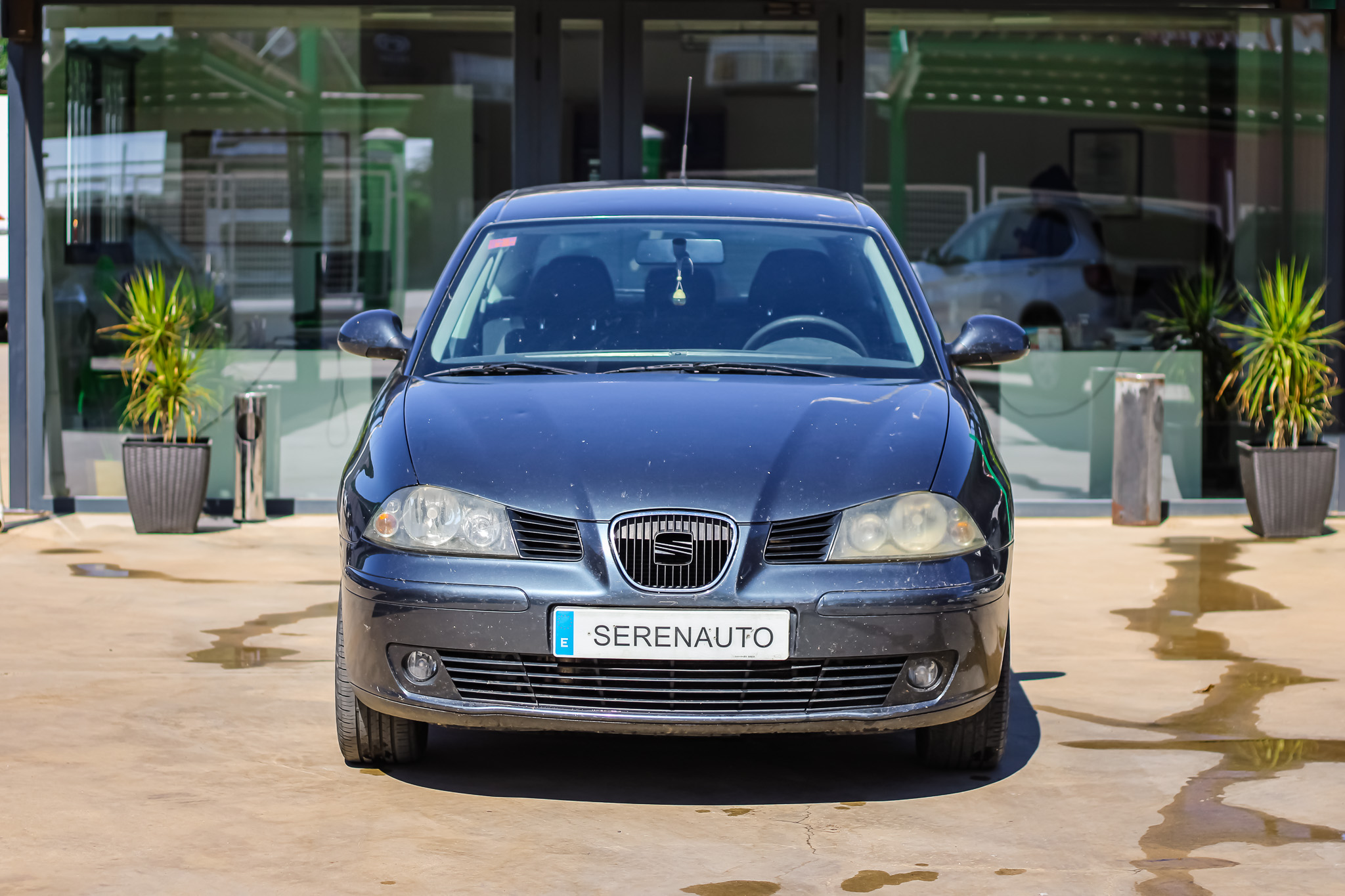 
								SEAT Ibiza 1.9 TDI 100 CV REFERENCE full									