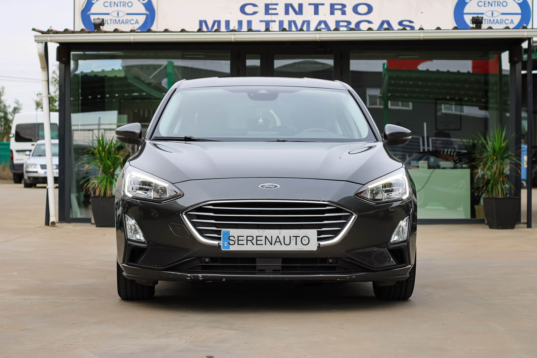 
								FORD FOCUS 1.5 Ecoblue 120cv Trend+ full									