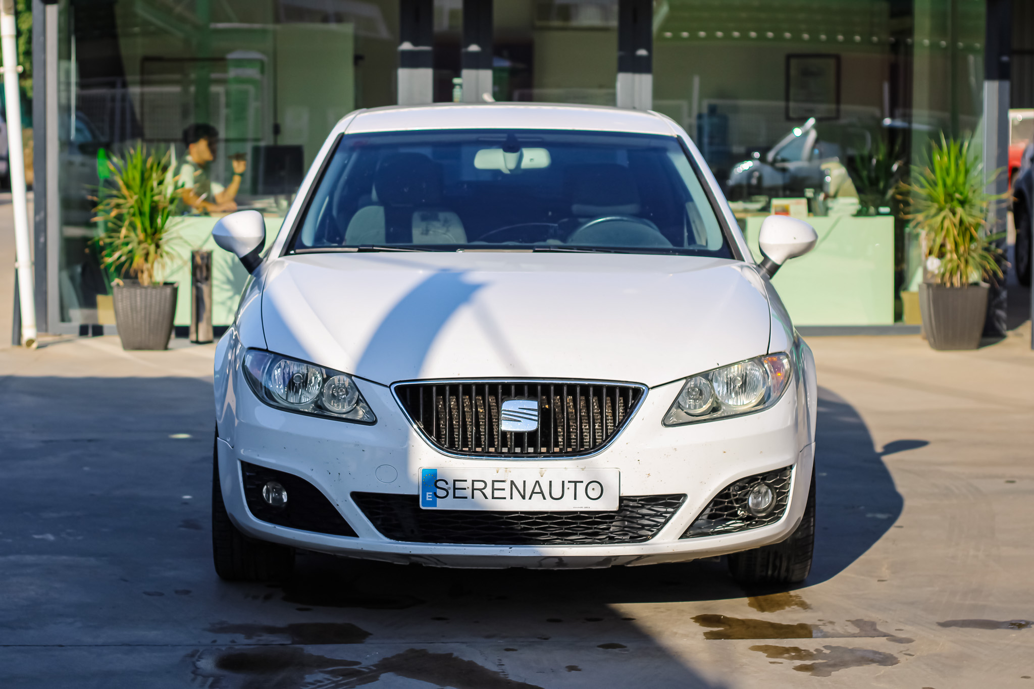 
								SEAT Exeo 2.0 TDI CR 120 CV DPF Style full									